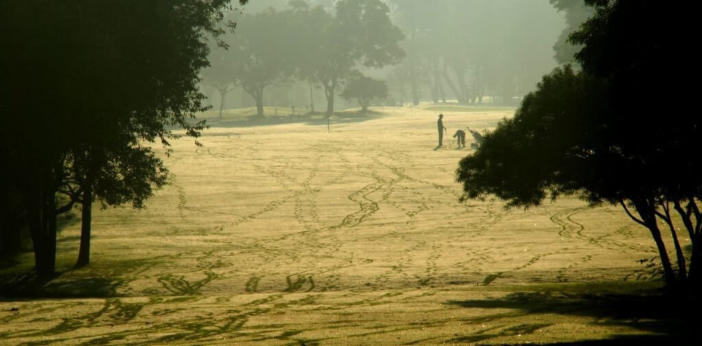 Bad golf etiquette - old golf cart tracks on the course