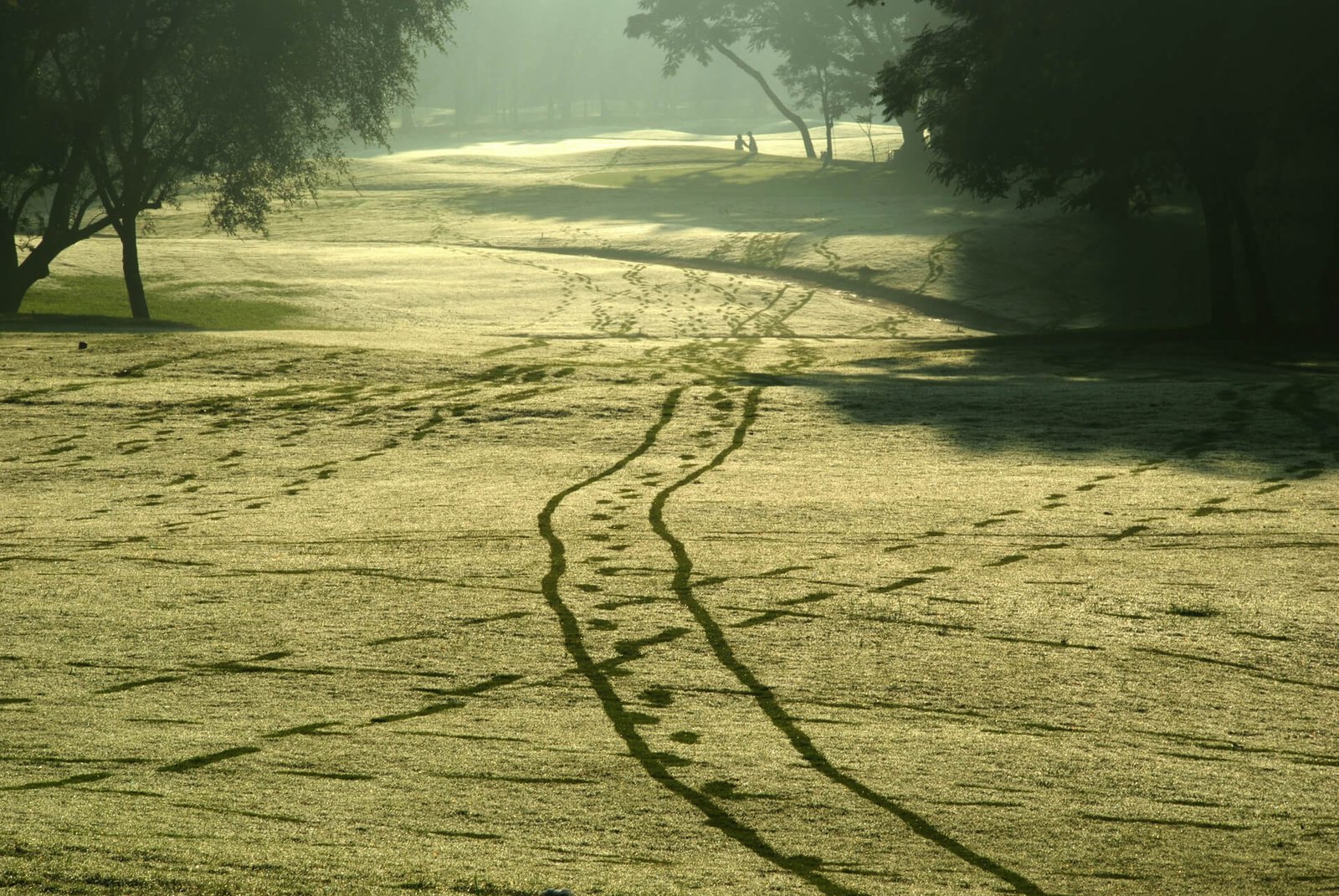Bad golf etiquette - golf cart tracks on the course