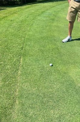 An example of what a GIR in golf